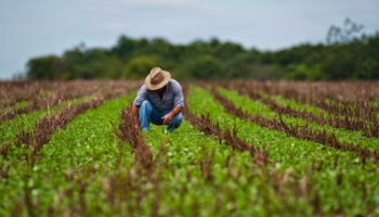 O tempo de serviço rural ainda está valendo para a aposentadoria?